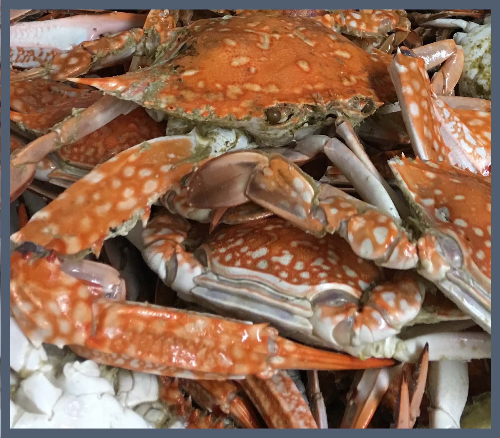 Home Harbor Seafood Harbor Seafood