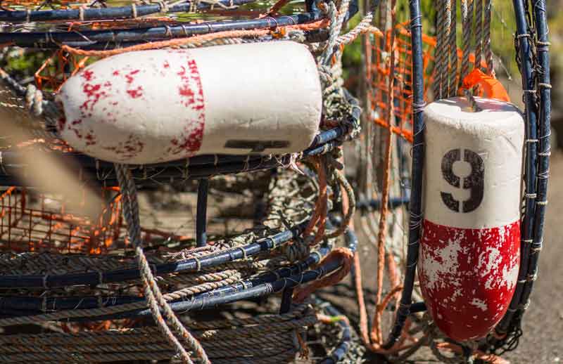 Garibaldi Oregon Lodging Harborview Inn & RV Park