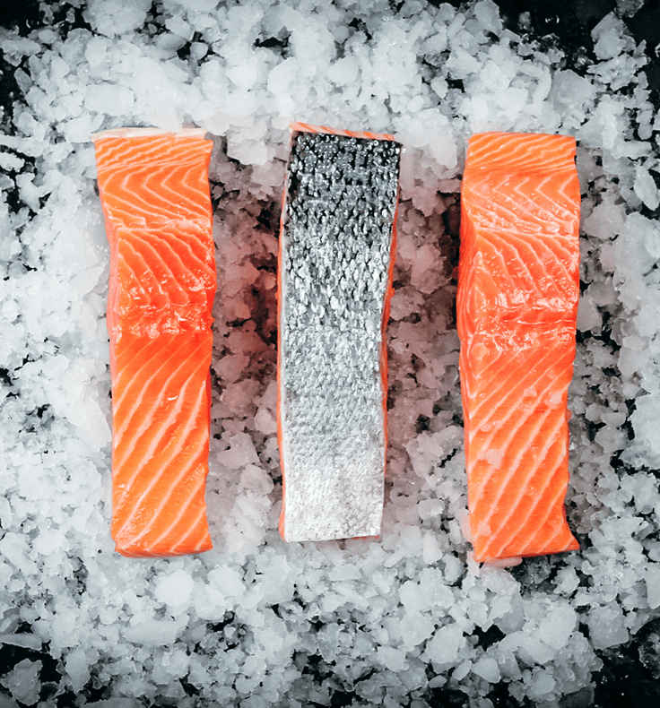 Buy Fresh Salmon Fillets Online Harbour Fish