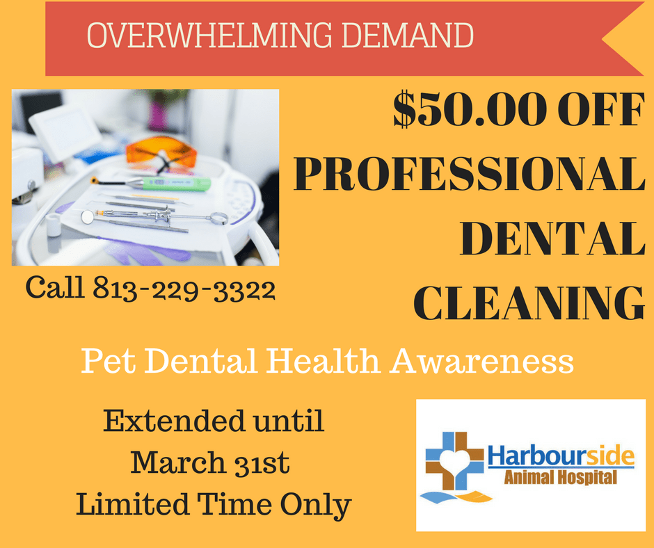 Dr Colby Burns Veterinarian at Barney Thomas blog