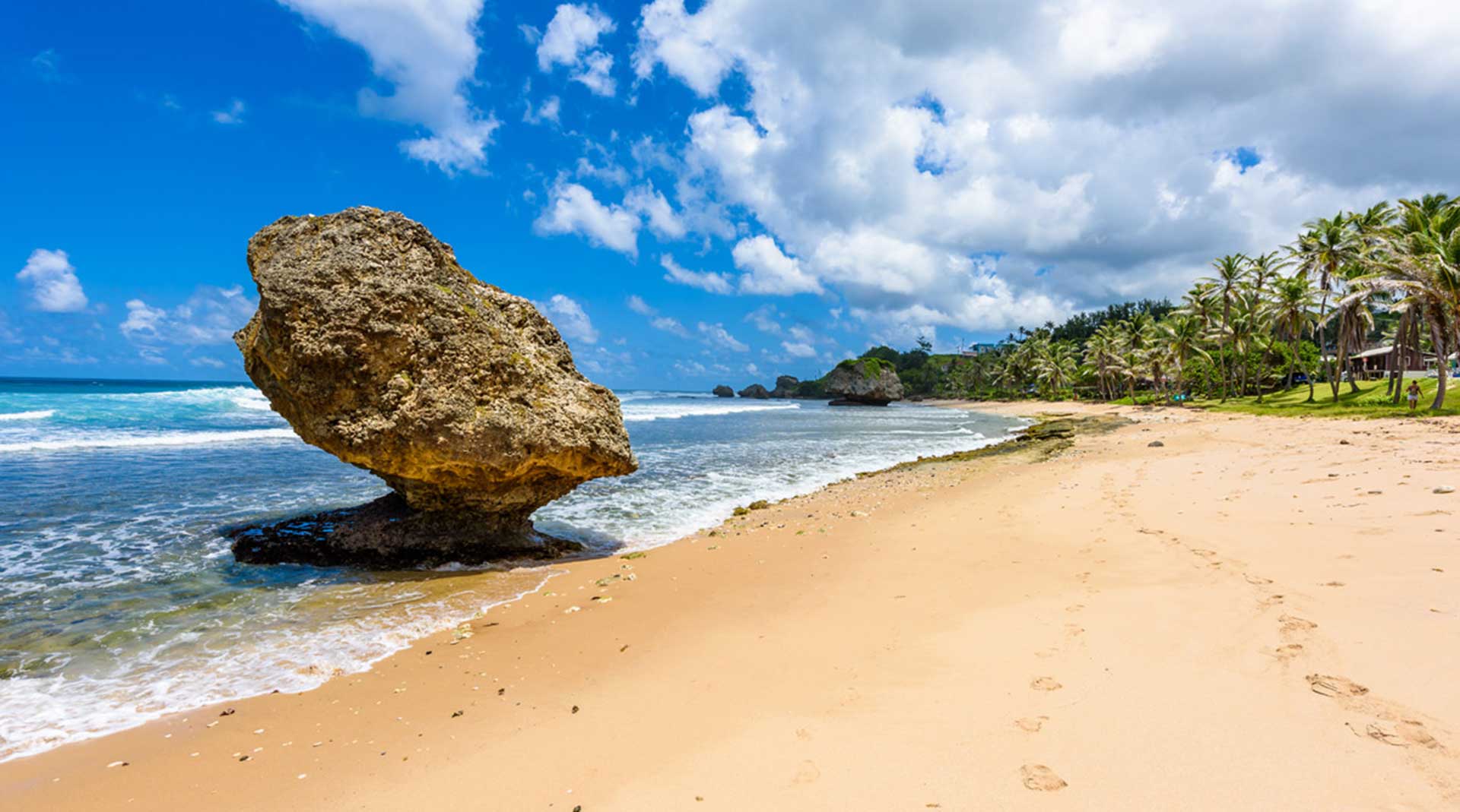 Harcourt Carter Optical Optometrist in Barbados
