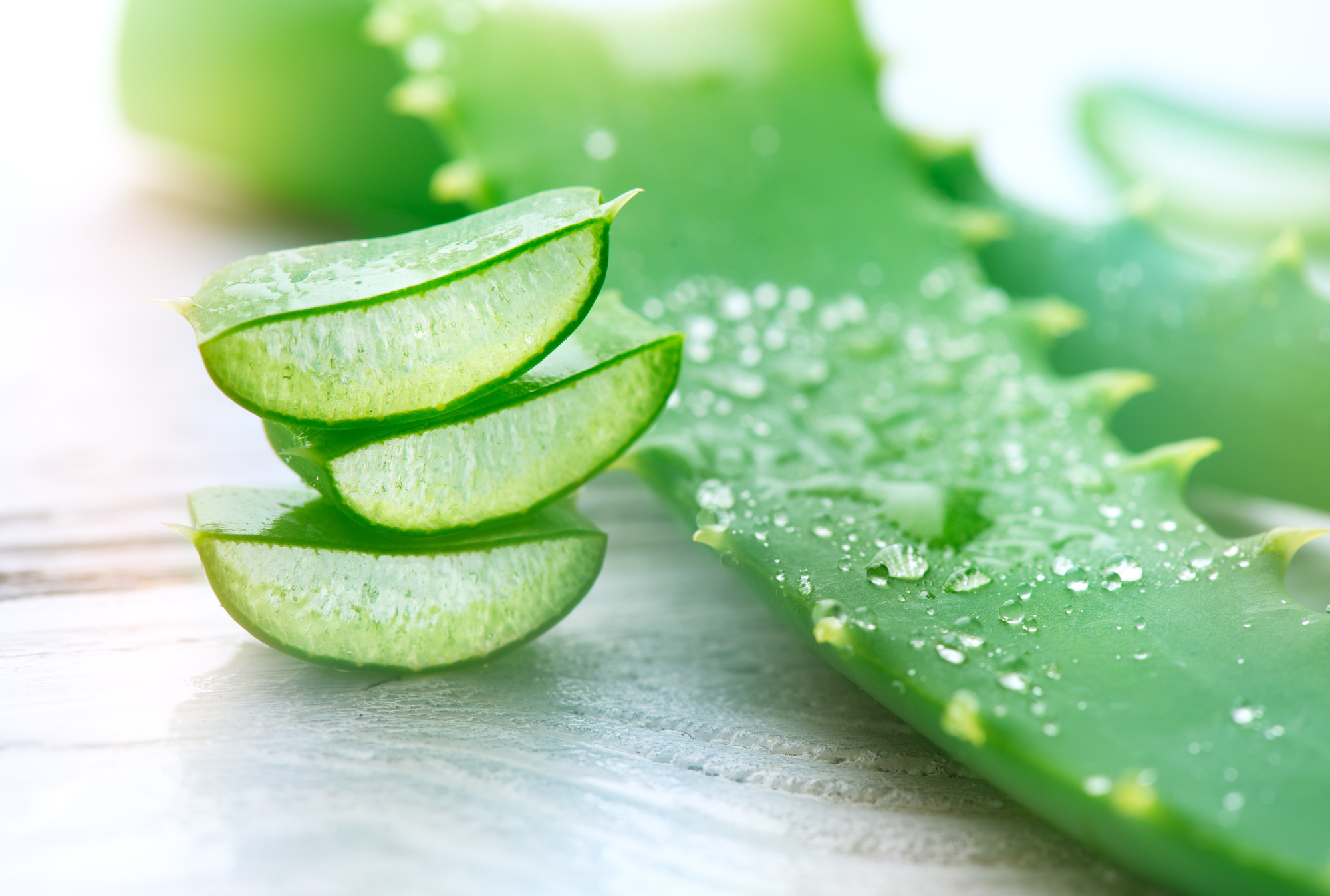5 Ways You Can Use Real Aloe Vera Plant for Wellness Harcourt Health