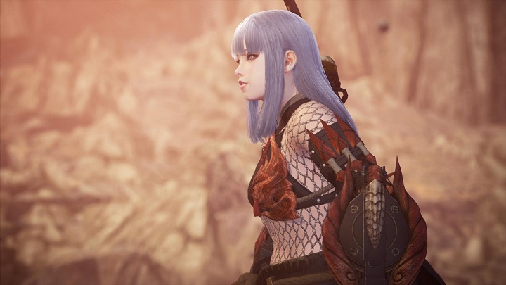 【MHW】PC版『モンハンワールド：アイスボーン』おすすめMOD・導入方法