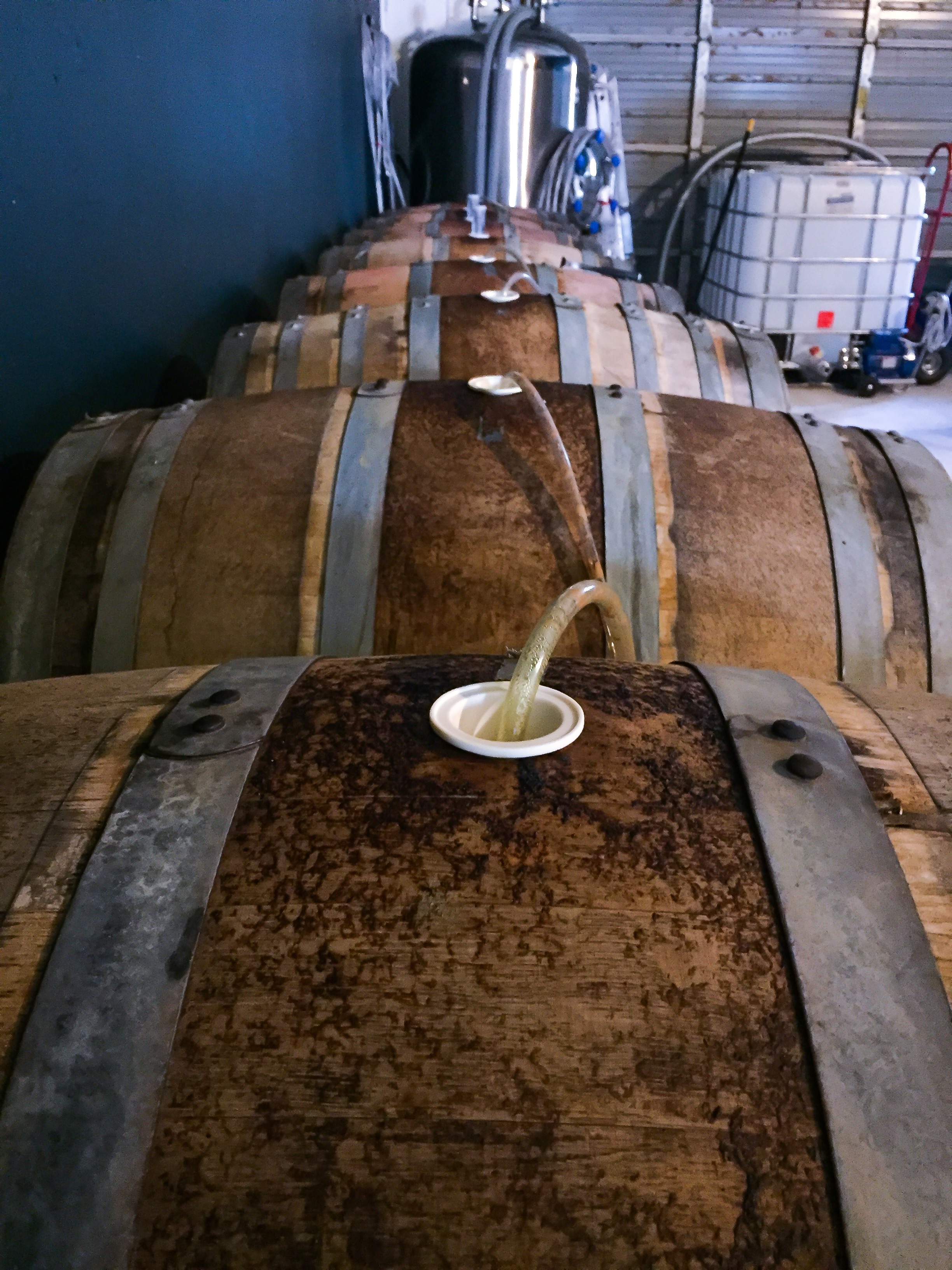 Cellar West Artisan Ales Brewery Profile Hard 12 Brews