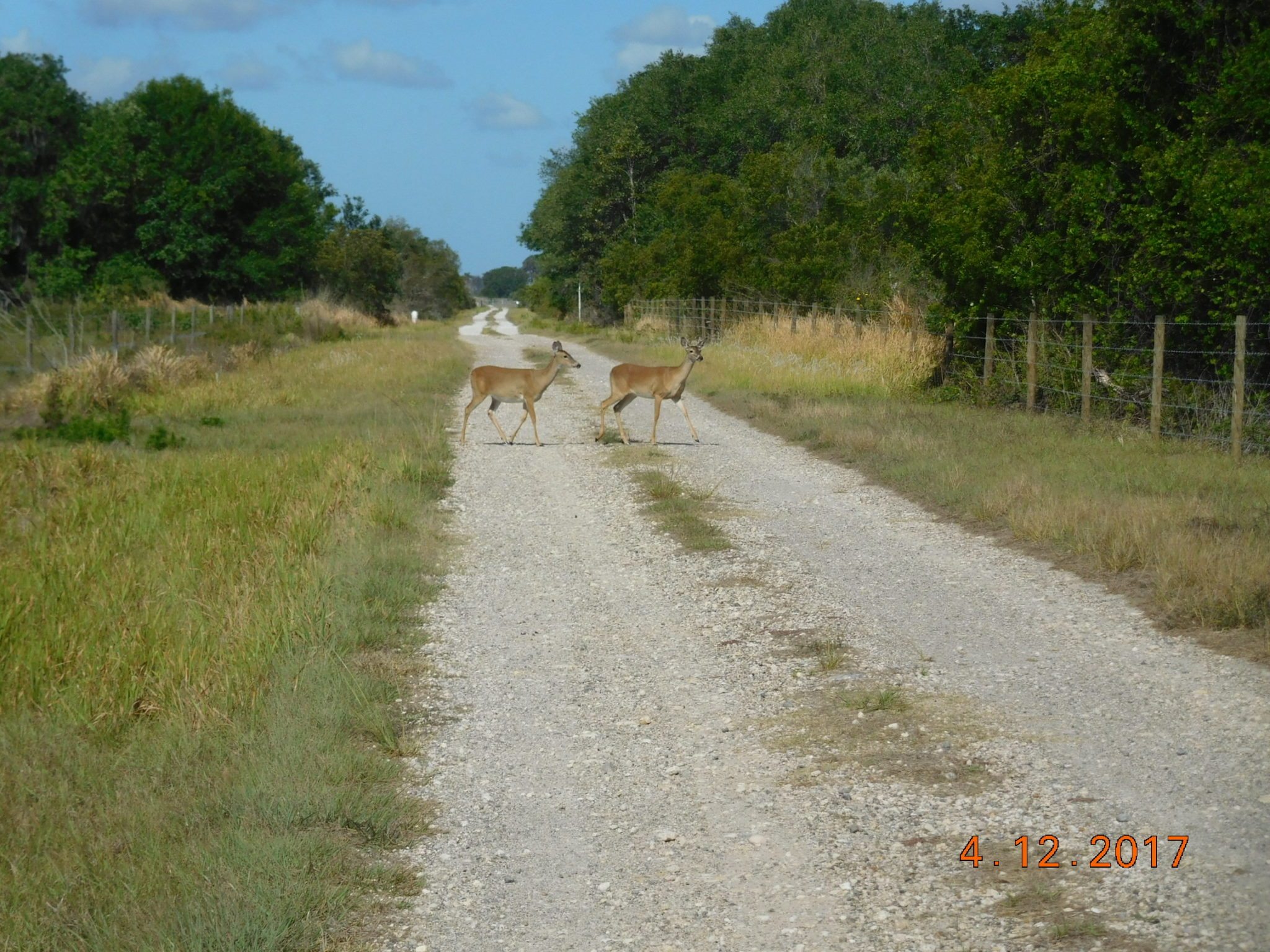 Gallery Hardee County Property Appraiser