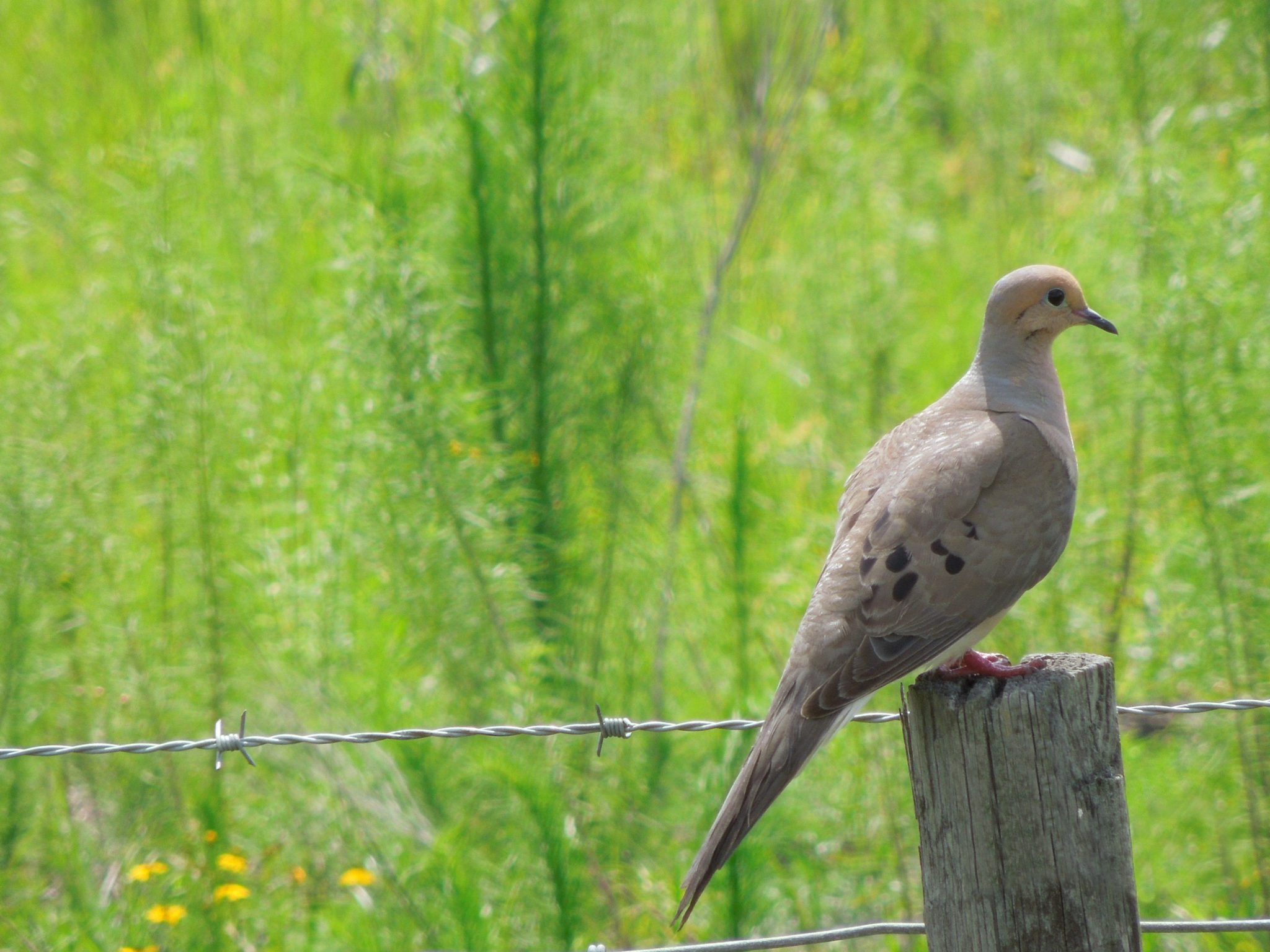 Home Hardee County Property Appraiser