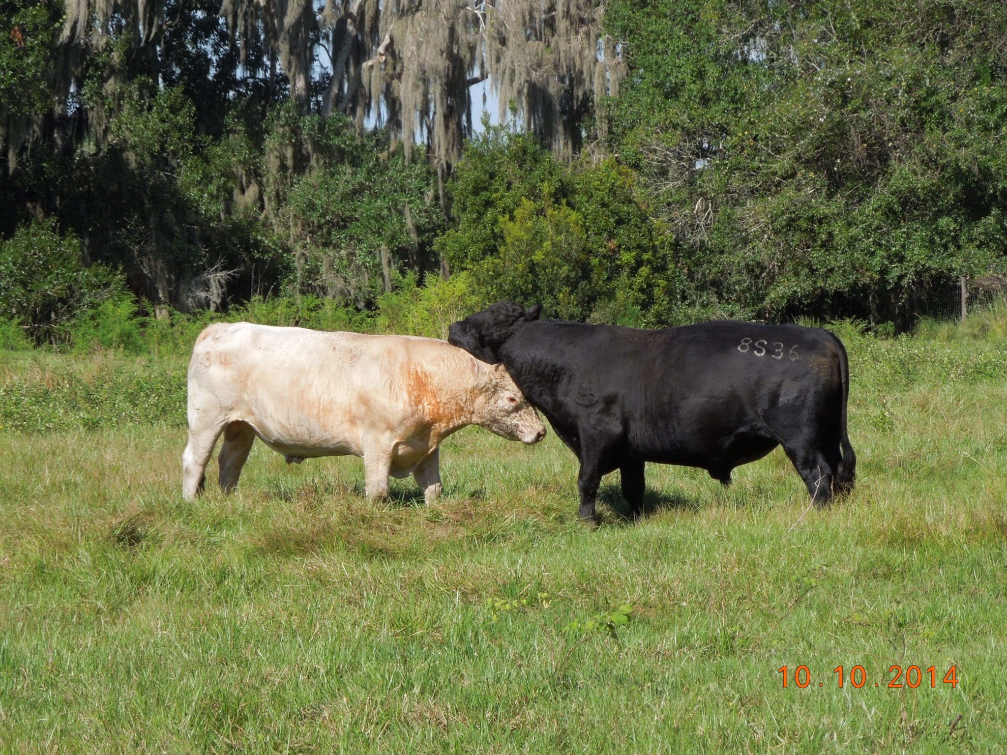 Gallery Hardee County Property Appraiser