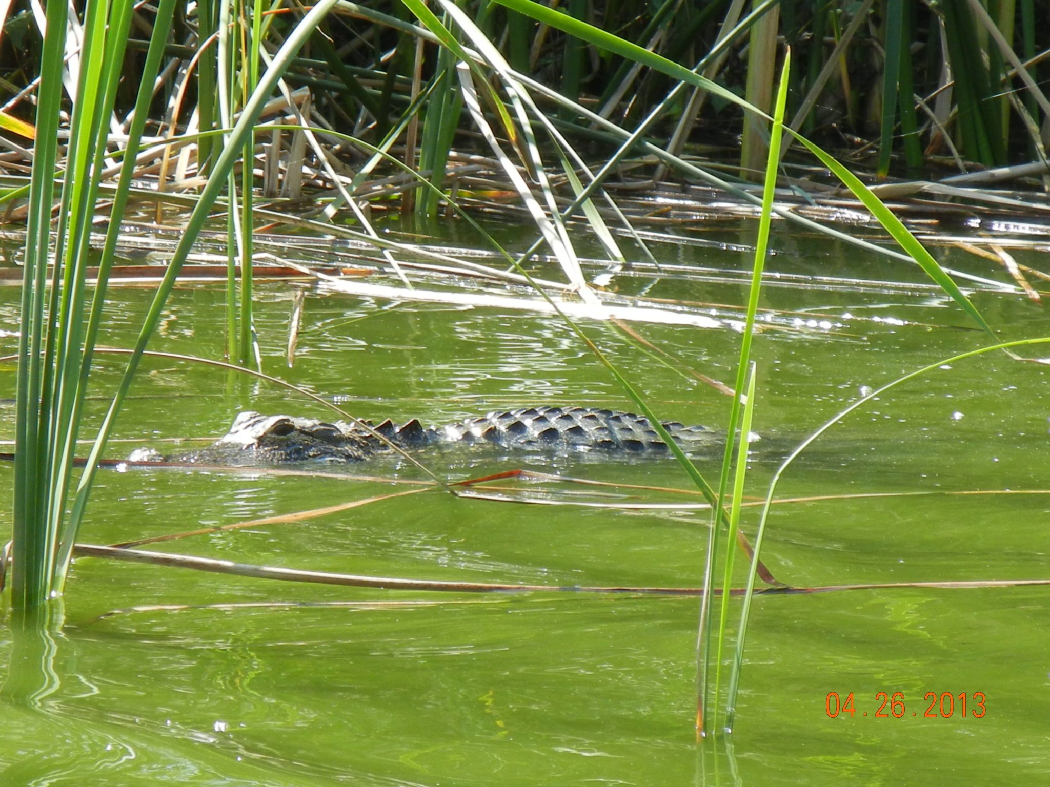 Gallery Hardee County Property Appraiser