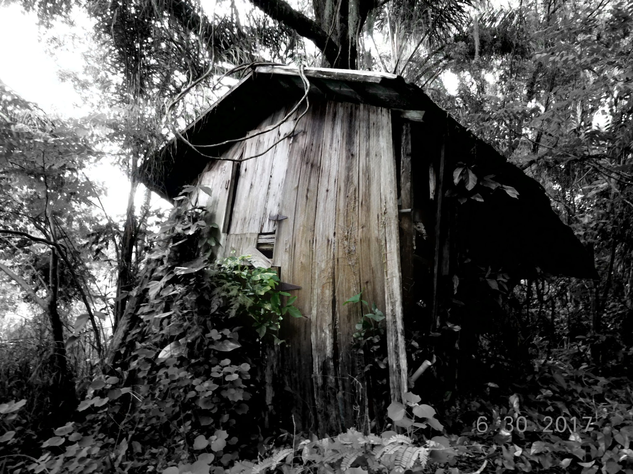 Gallery Hardee County Property Appraiser