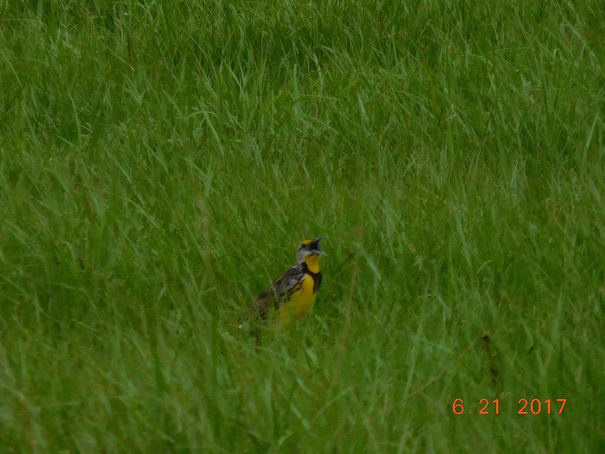 Gallery Hardee County Property Appraiser