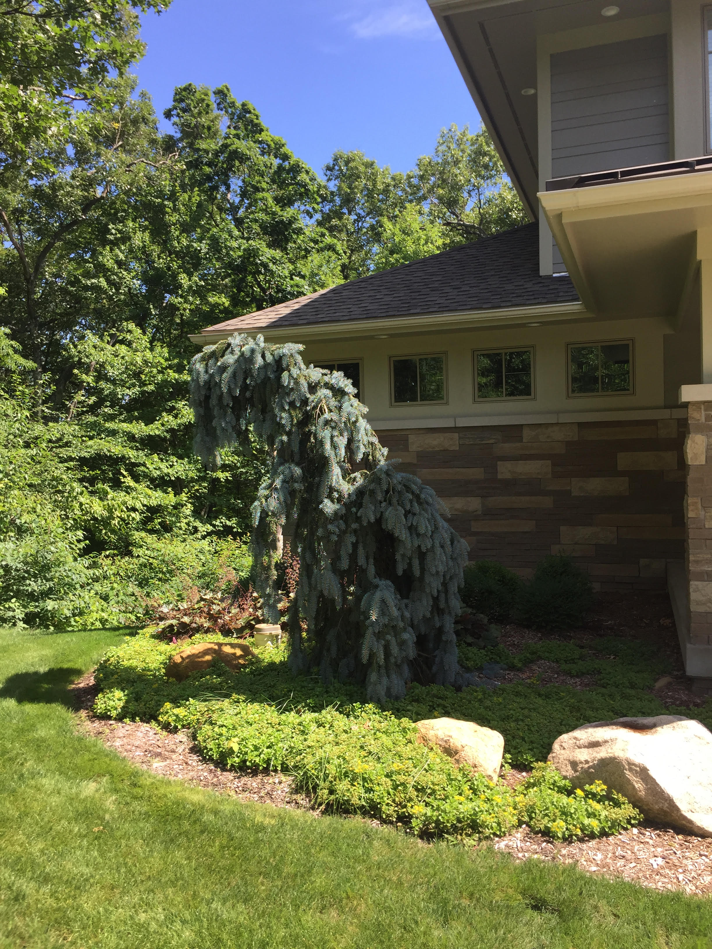 Landscape Design Grand Rapids, Caledonia, MI Harder & Warner