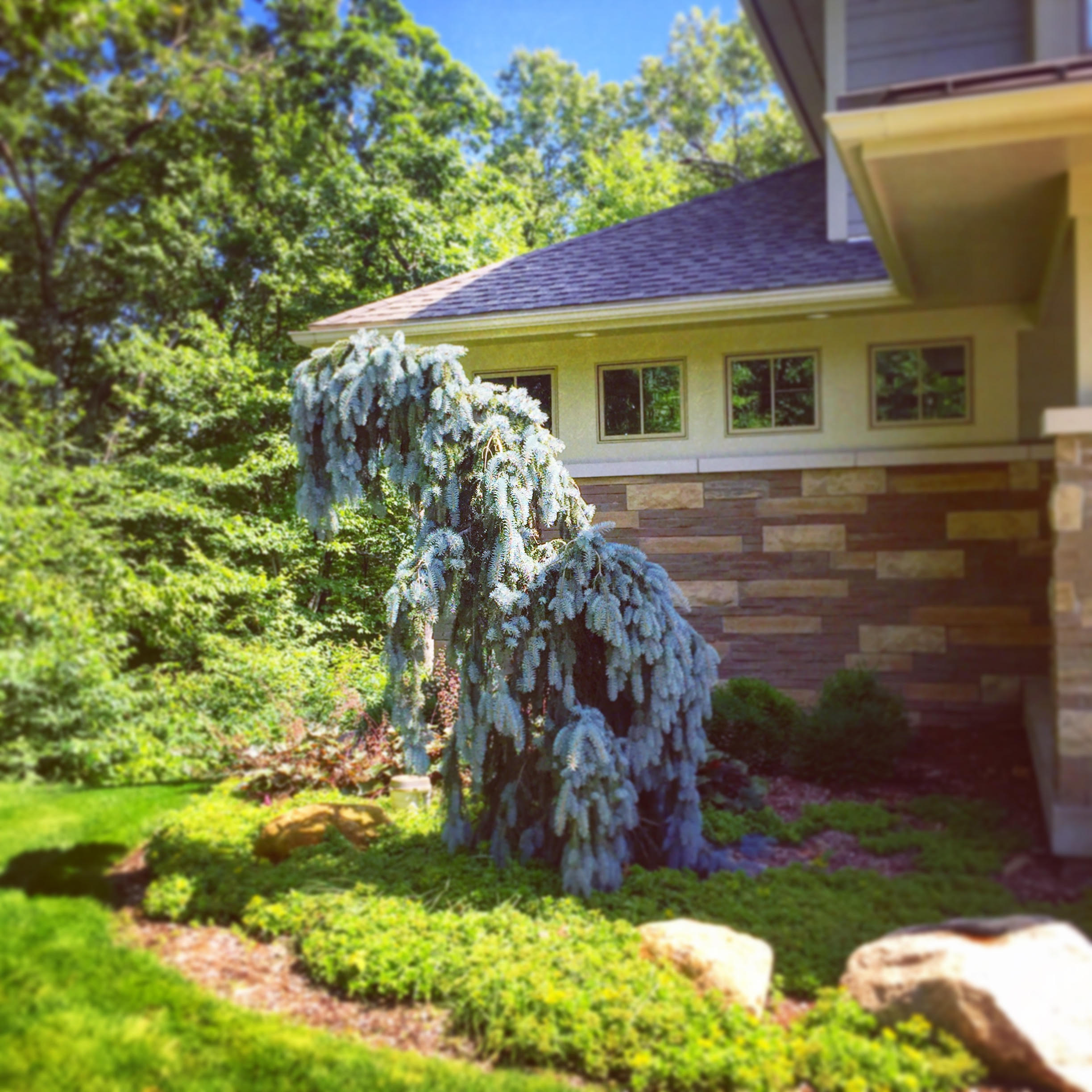 Landscape Design Grand Rapids, Caledonia, MI Harder & Warner