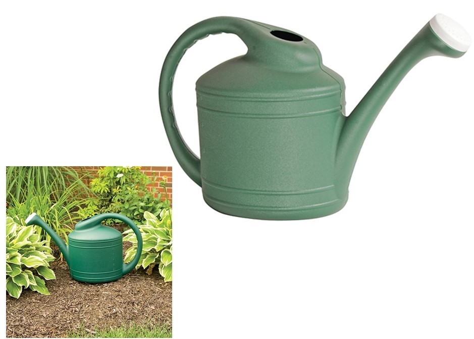 Buy the Southern Patio WC8108FE Plastic Watering Can 2 gallon