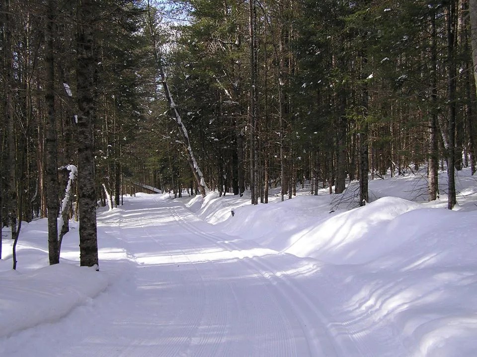 Hardwick Elementary School REACH! Hardwick Trails