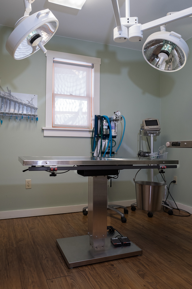 About Your Hardwick, VT Veterinarian Professional Pet Care