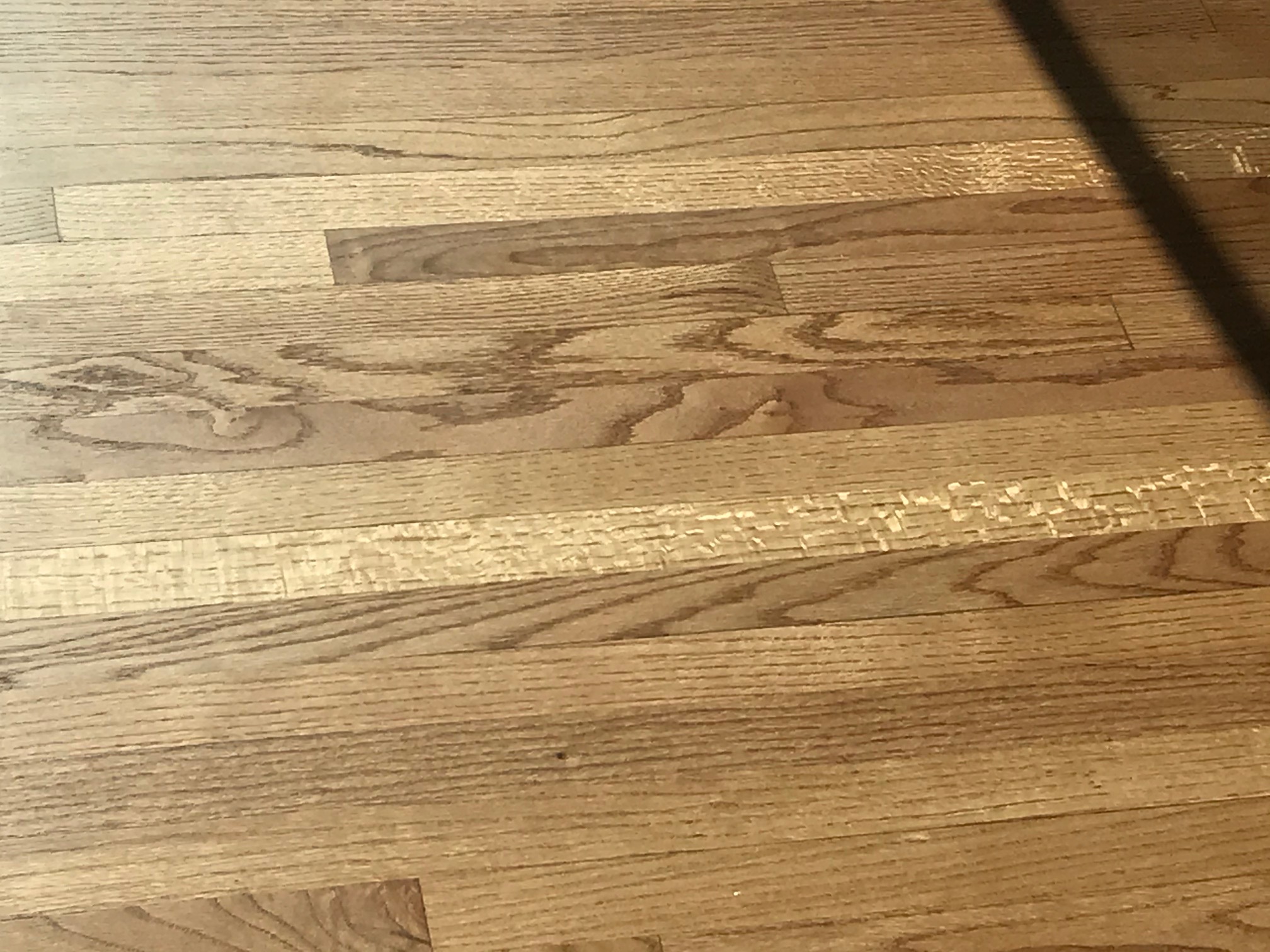 In Stock Flooring Logan Utah Floor Roma