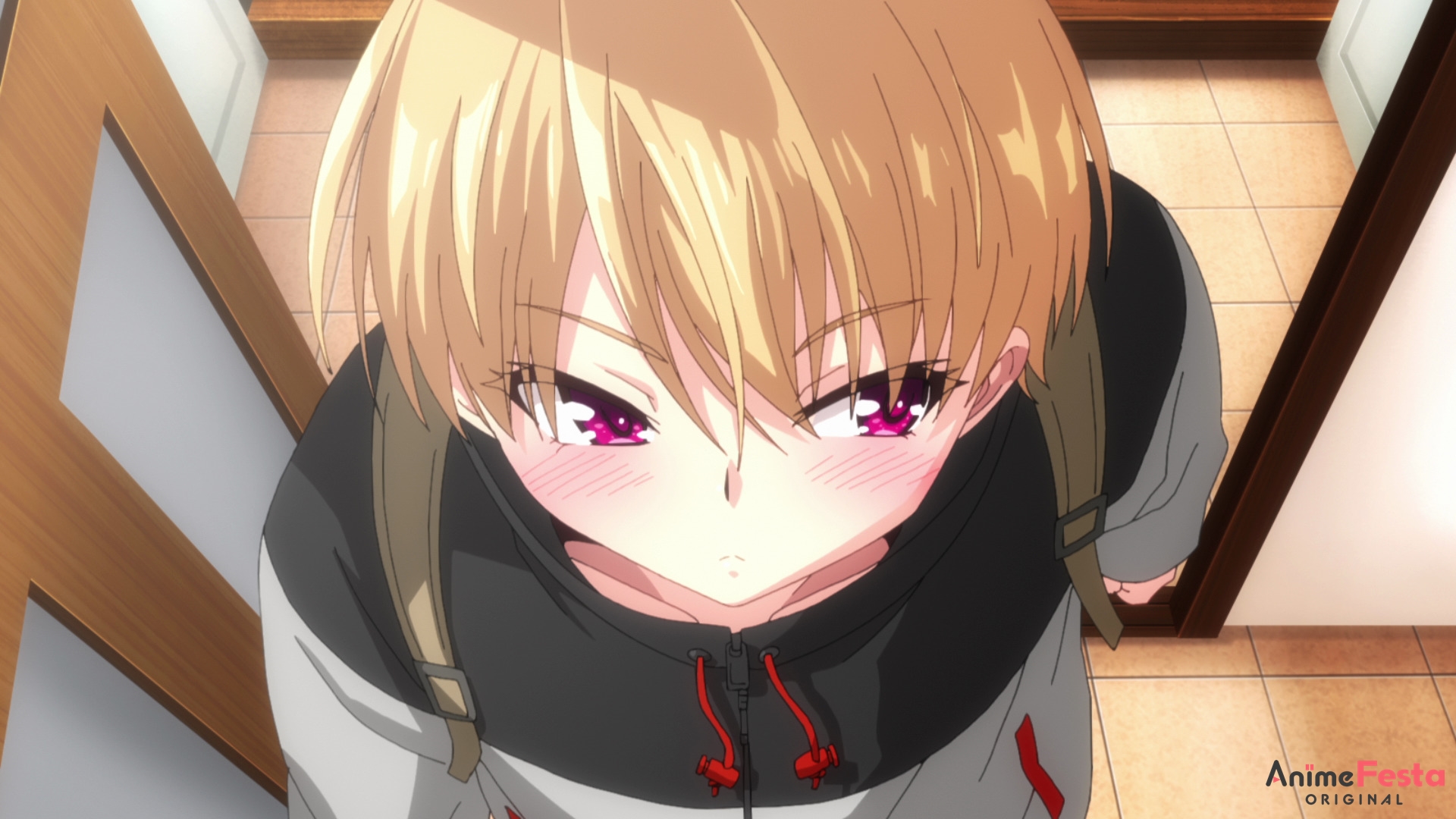 STORY TVアニメ「ハーレムきゃんぷっ！」公式サイト