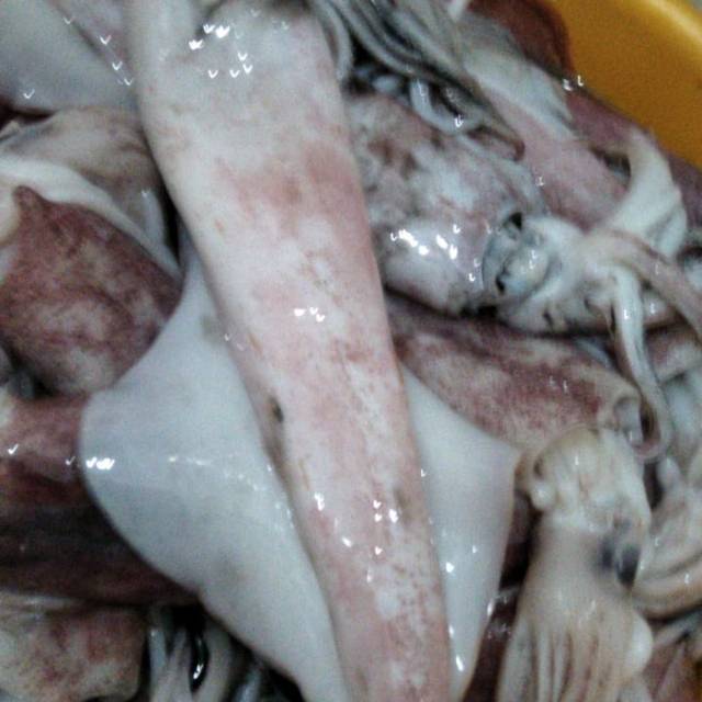 CUMI-CUMI