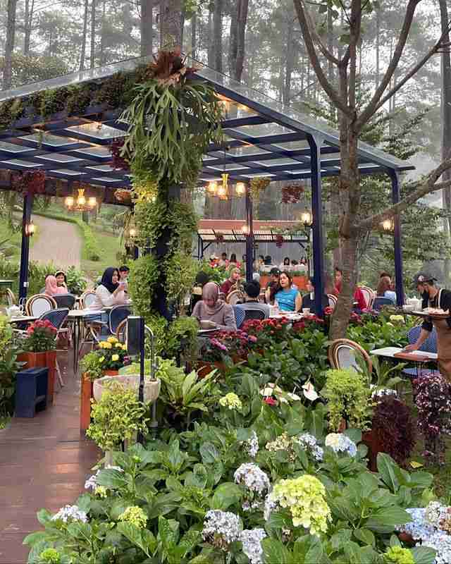 Harga Menu Golden Pine Orchid Forest Terbaru Oktober 2024