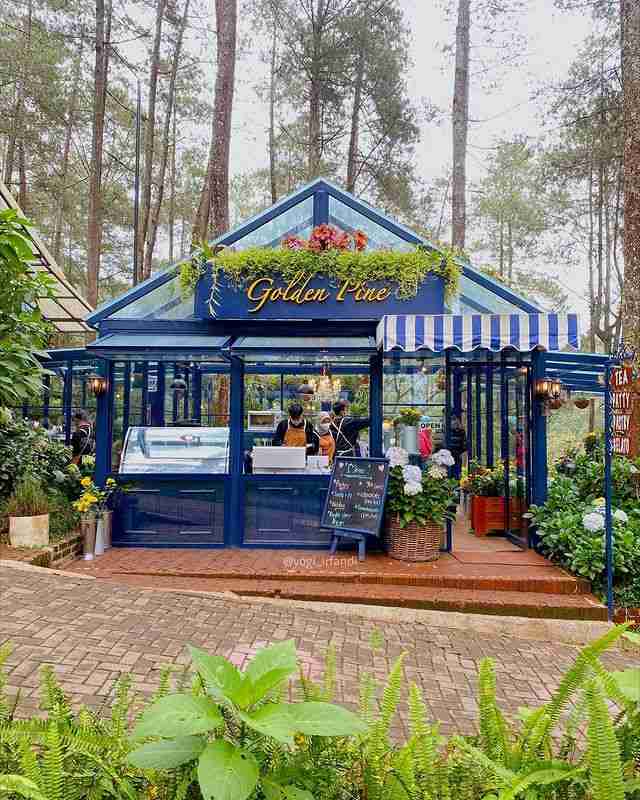 Harga Menu Golden Pine Orchid Forest Terbaru Oktober 2024