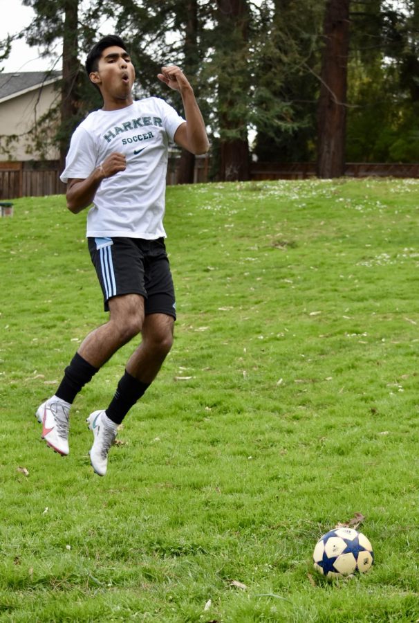 of soccer crossword clue lovelyreadspublishing