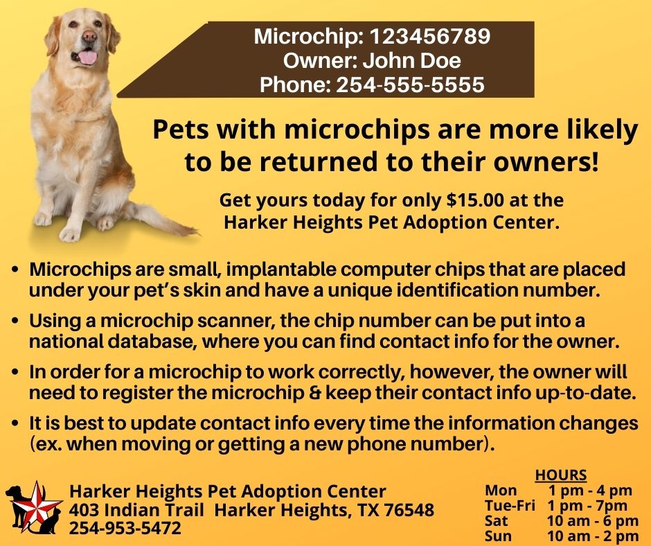 911 Pet Chip Phone Number Animal Welfare Department Is Offering Free