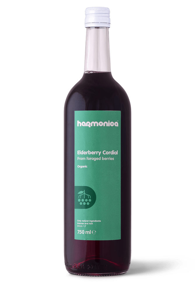 Elderberry Cordial Harmonica