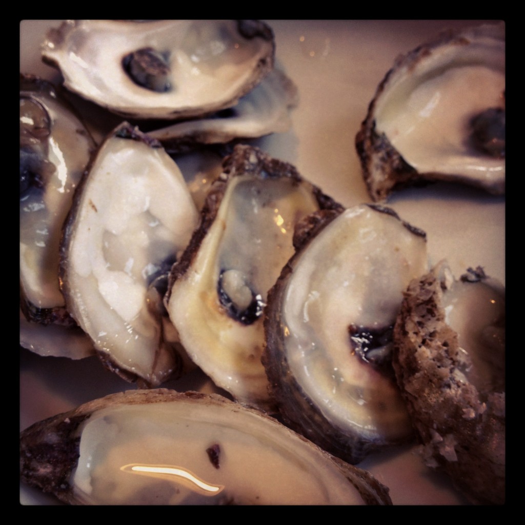 My First Oysters Harmonious Belly