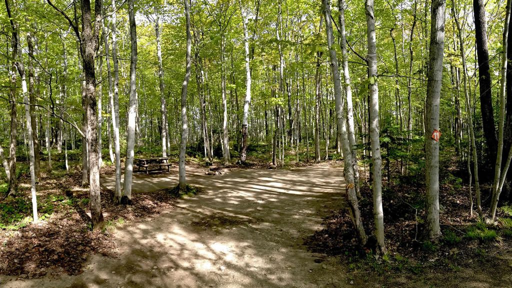 Harmony Acres Campground Tobermory’s smallest & most private Campground