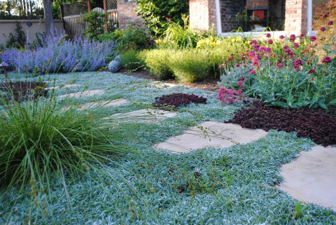 Lush, Layered, and LawnFree Harmony in the Garden