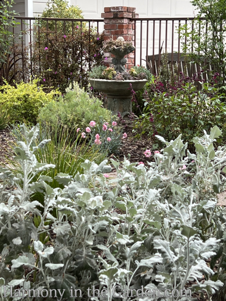 Gardening Under Oaks Learning to Love DryShade Plants Harmony in