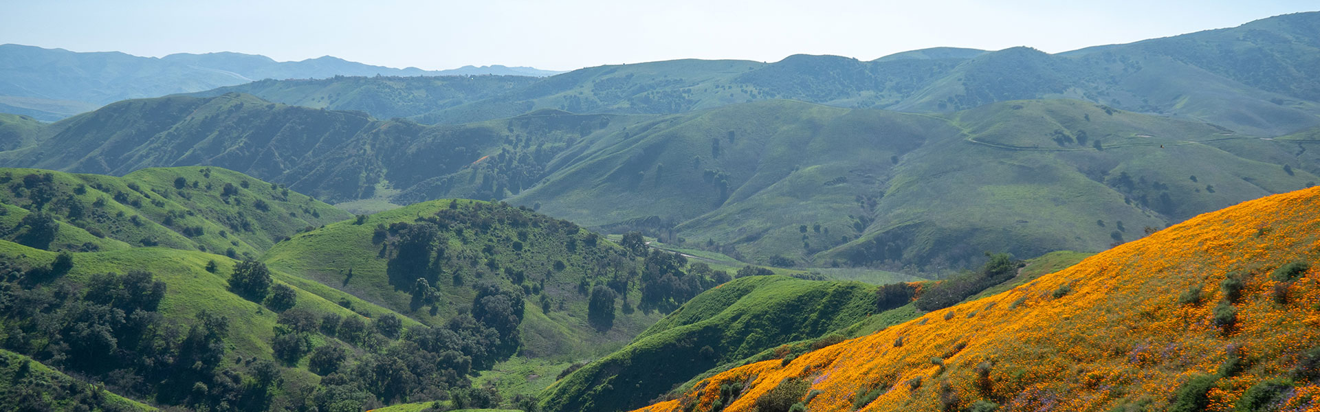 What We Treat Harmony Junction