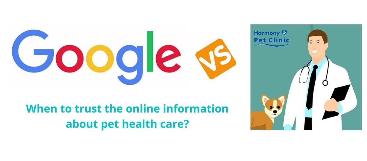 Authentic online resources for pet care information When to trust Dr