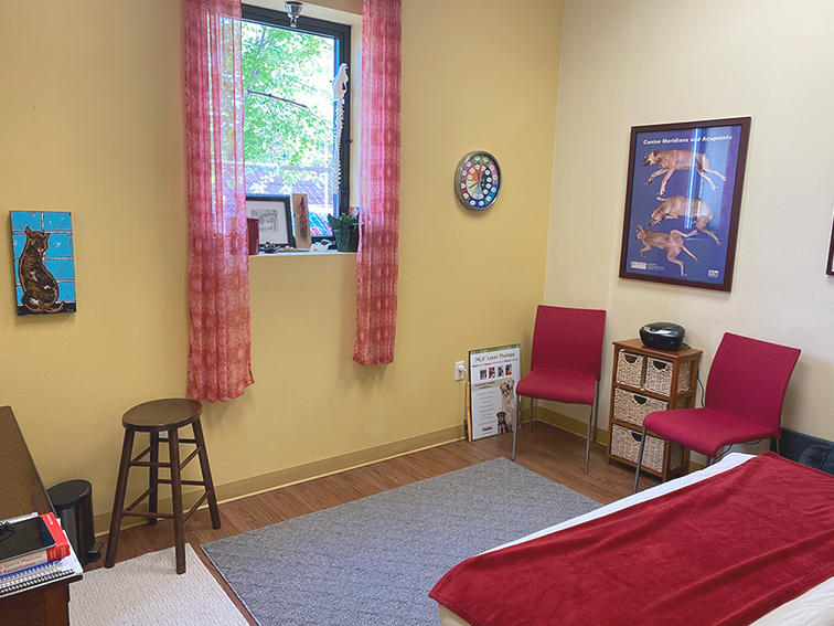 Clinic Tour Harmony Vet