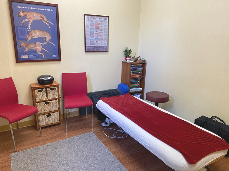 Clinic Tour Harmony Vet