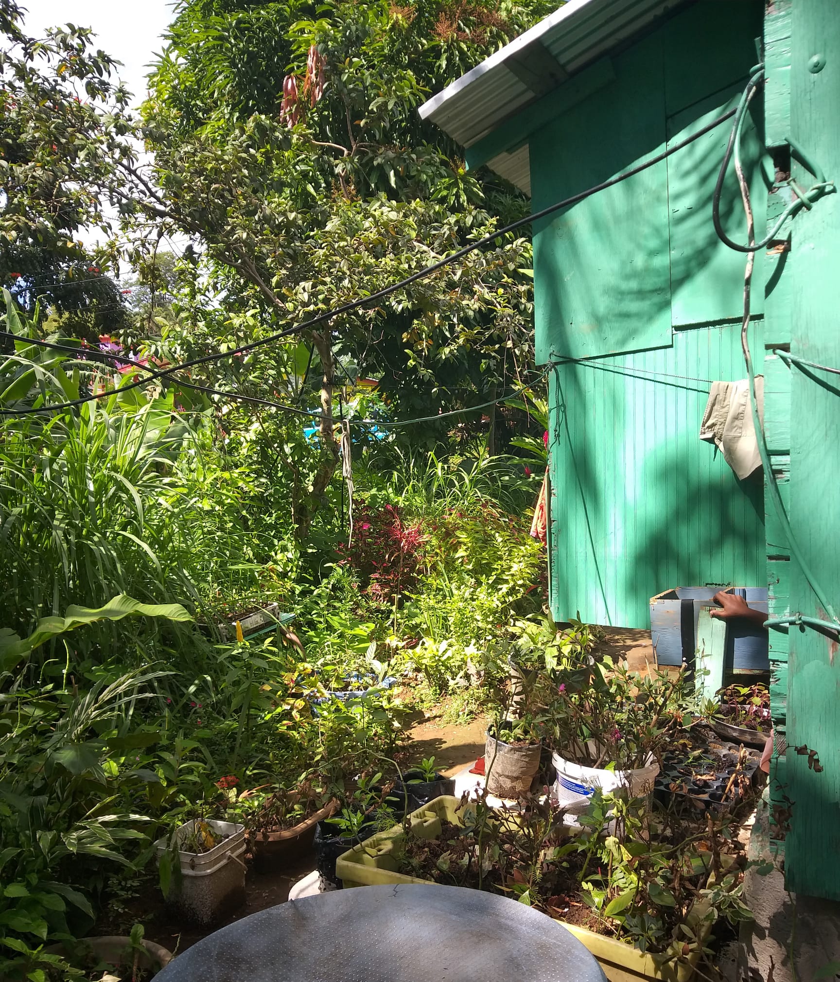 Small House and Lot For Sale In Cochrane, Dominica. EC54,000.00/ US