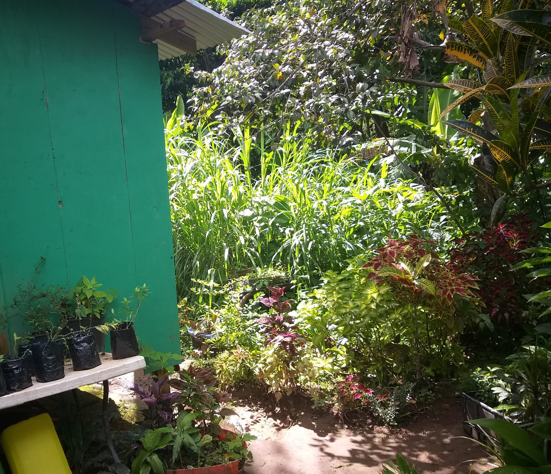 Small House and Lot For Sale In Cochrane, Dominica. EC54,000.00/ US
