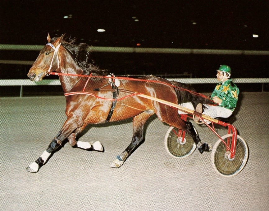 BENDIGO’S HARNESS RACING MUSEUM Harnessbred