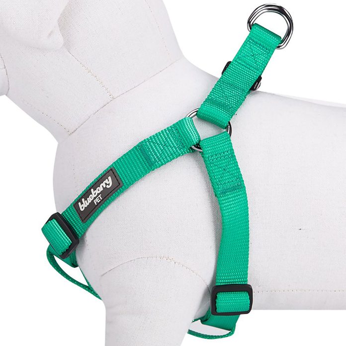 Should I Use A Harness Or Collar For My Dog at Julie Turner blog