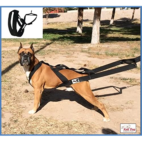 What Size Harness Do I Need For My Dog at Jason Babineau blog