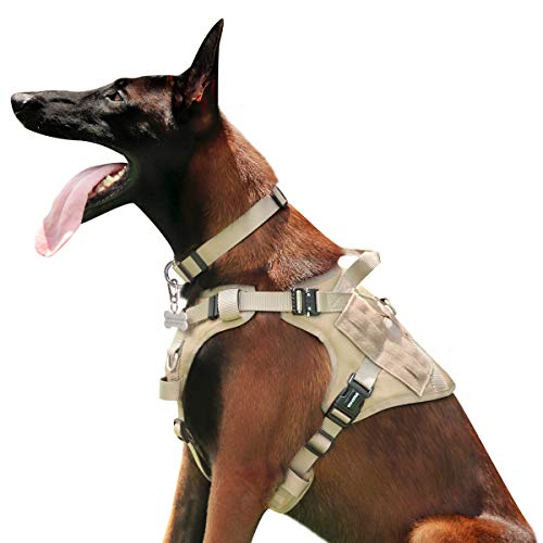 Choosing a Dog Harness With Metal Buckles