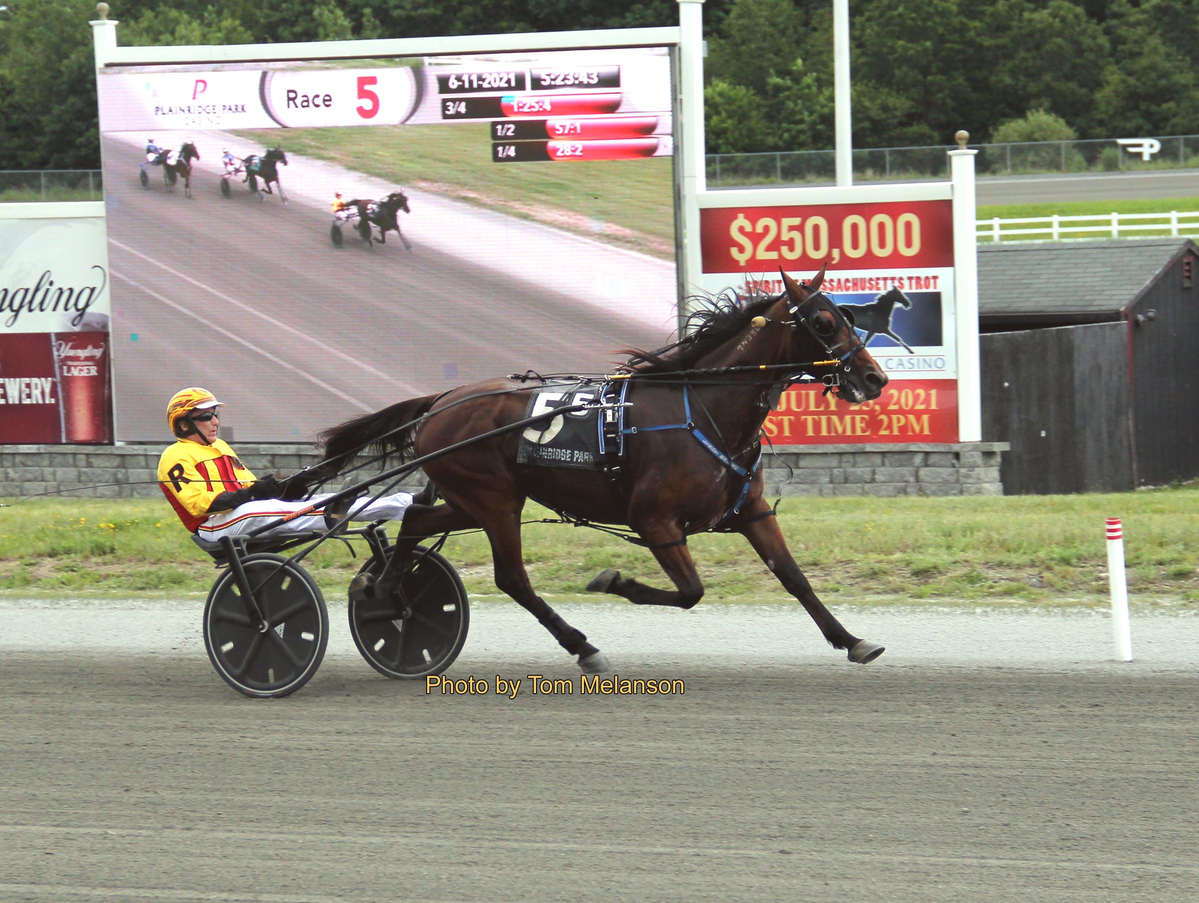 Eurobond continues to roll at Plainridge Harnesslink