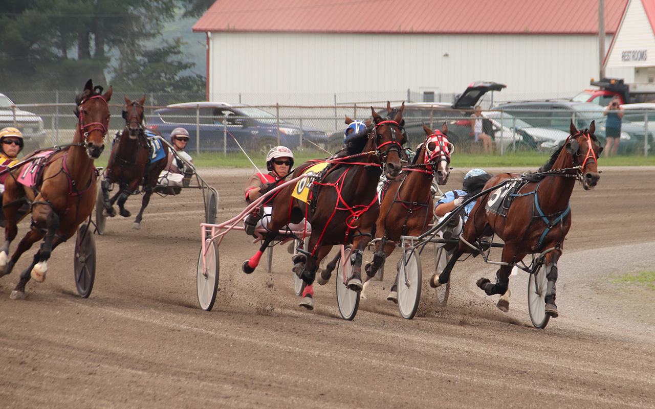 Plainridge invaders in Cumberland Open Harnesslink