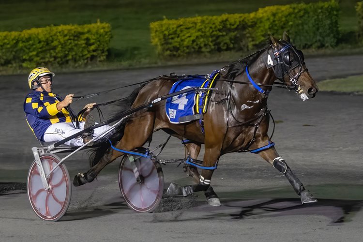 Bucket list ticked off for Queensland couple Harnesslink