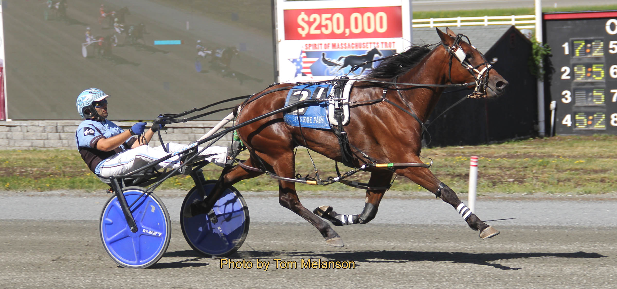 Mares own spotlight at Plainridge Harnesslink