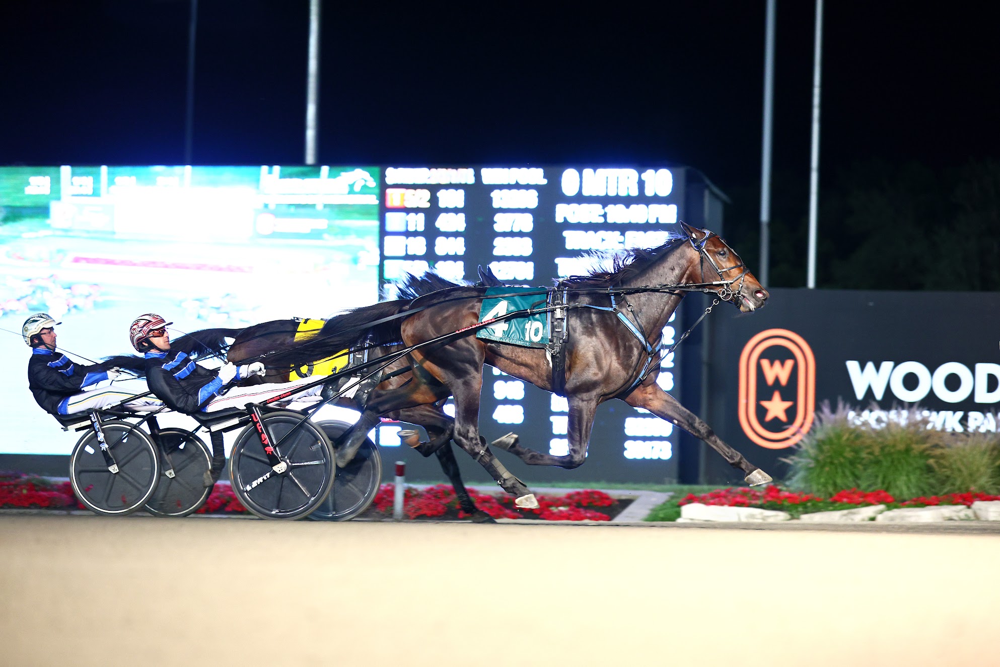 Winners Bet soars home to score in 665,000 Wellwood Memorial Harnesslink