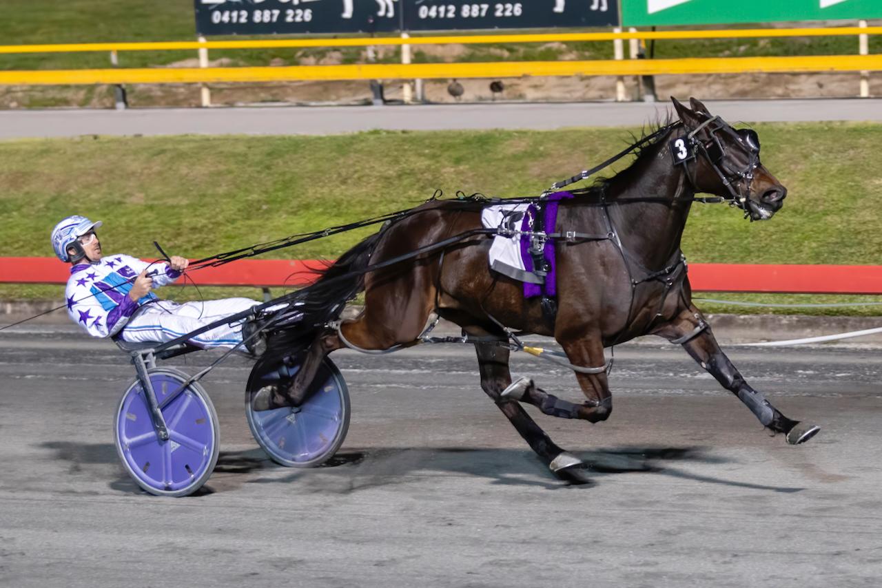 Pacer smashes the Albion Park track record Harnesslink