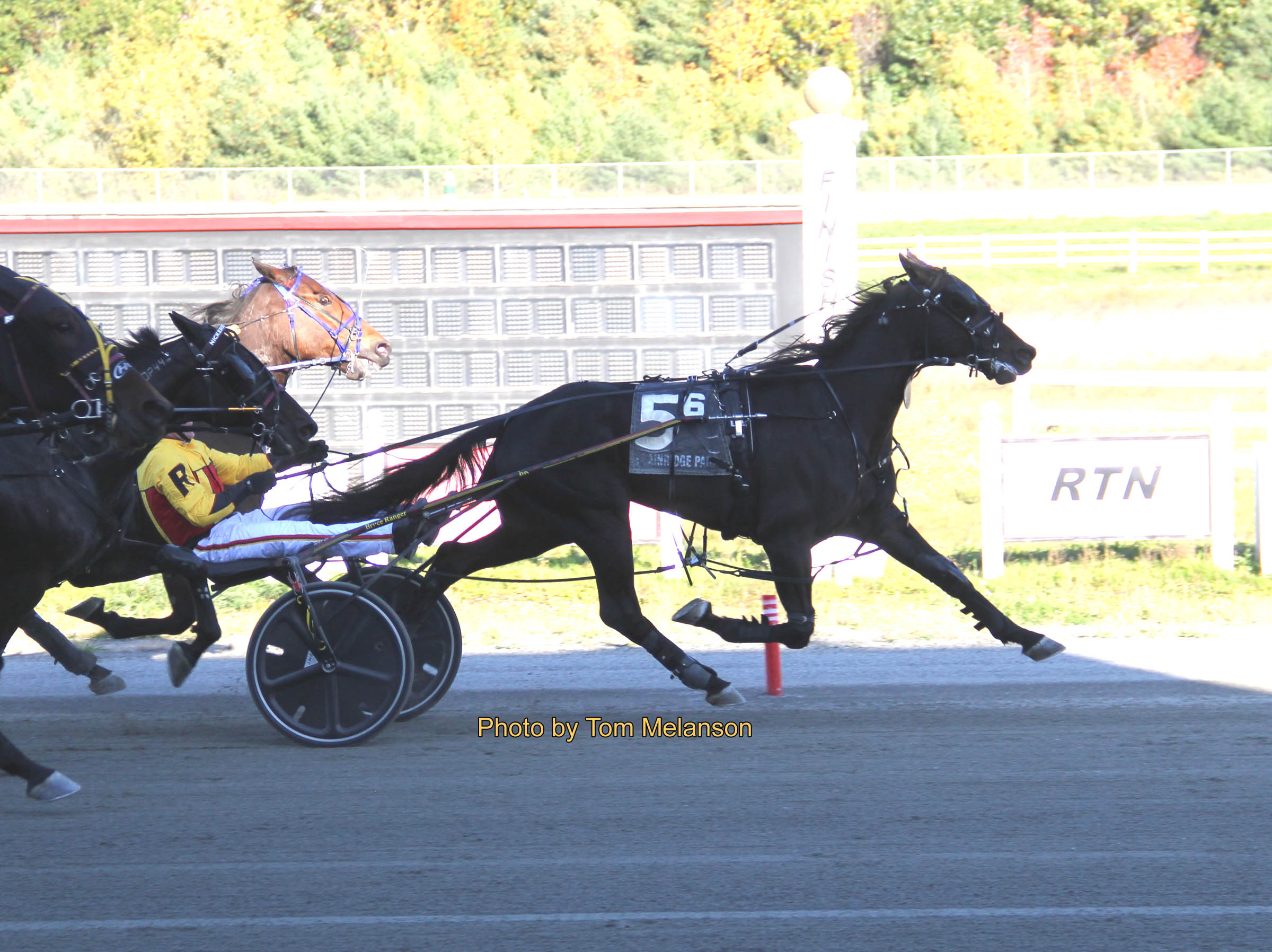 Perron returns to winning ways at Plainridge Harnesslink