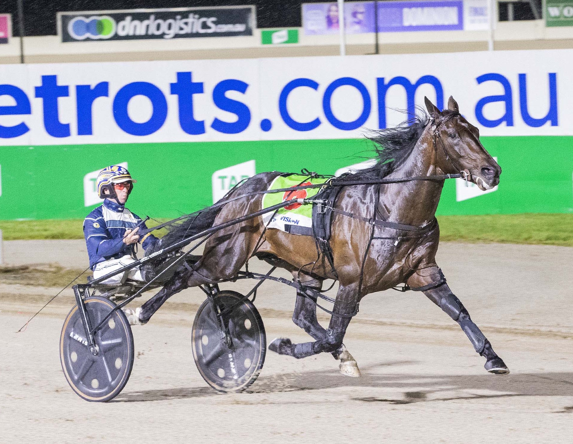 ‘The King’ crowned Australian Harness Horse of the Year Harnesslink