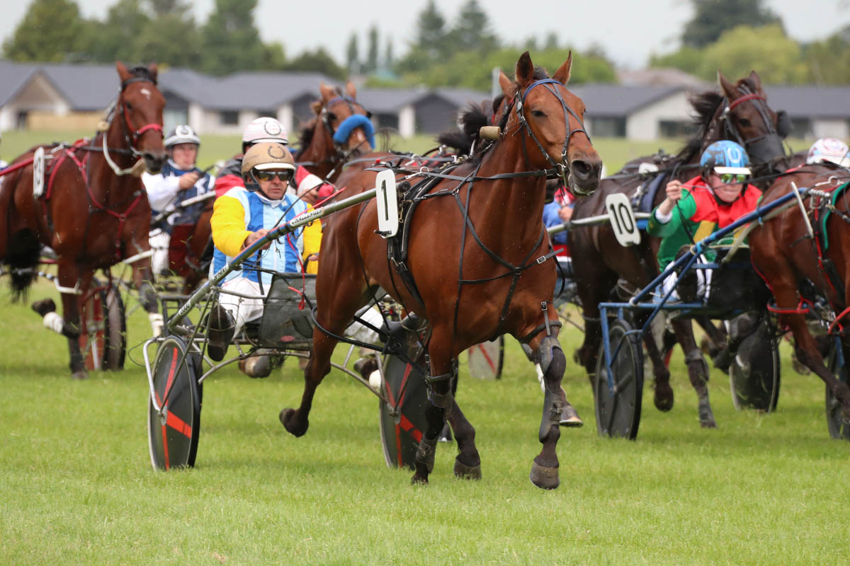 Old firm combine at Mt Harding Racecourse Harnesslink